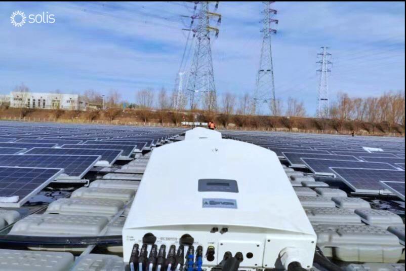 Solis aumenta ventas a nivel mundial