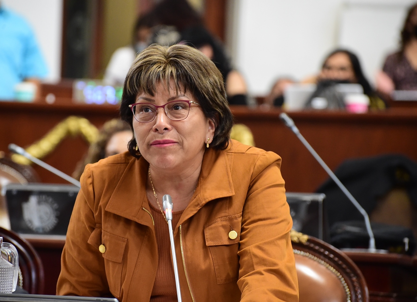 Diputada Martha Ávila propone ampliar de 12 a 14 semanas licencia por maternidad