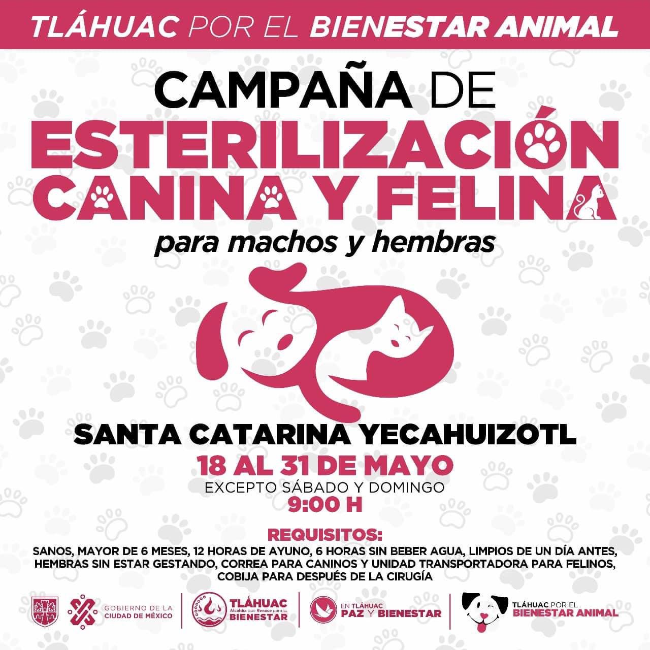 Tláhuac lanza gran campaña gratuita de esterilización para perros y gatos