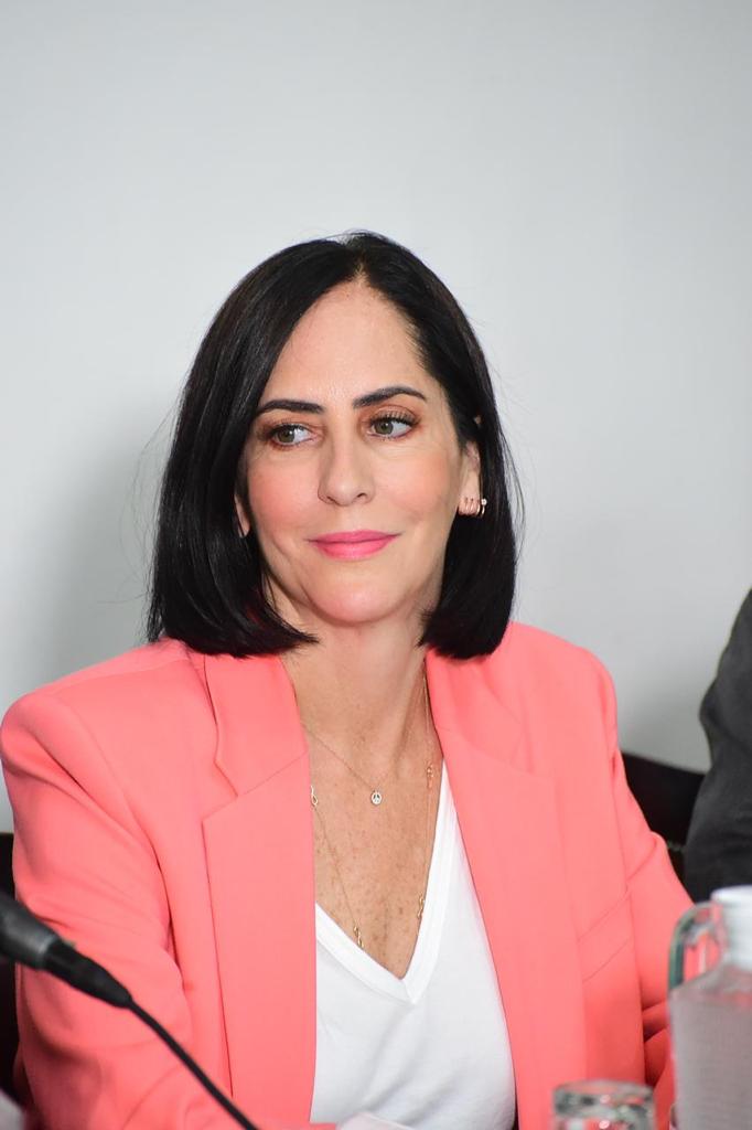 Lía Limón, sinónimo de ‘deshonestidad, omisión y falta de preparación’