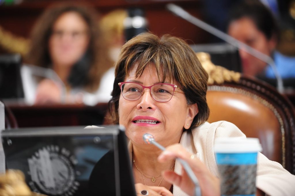 Comisión Especial por el caso L12 es inmoral y solo busca politizar una tragedia