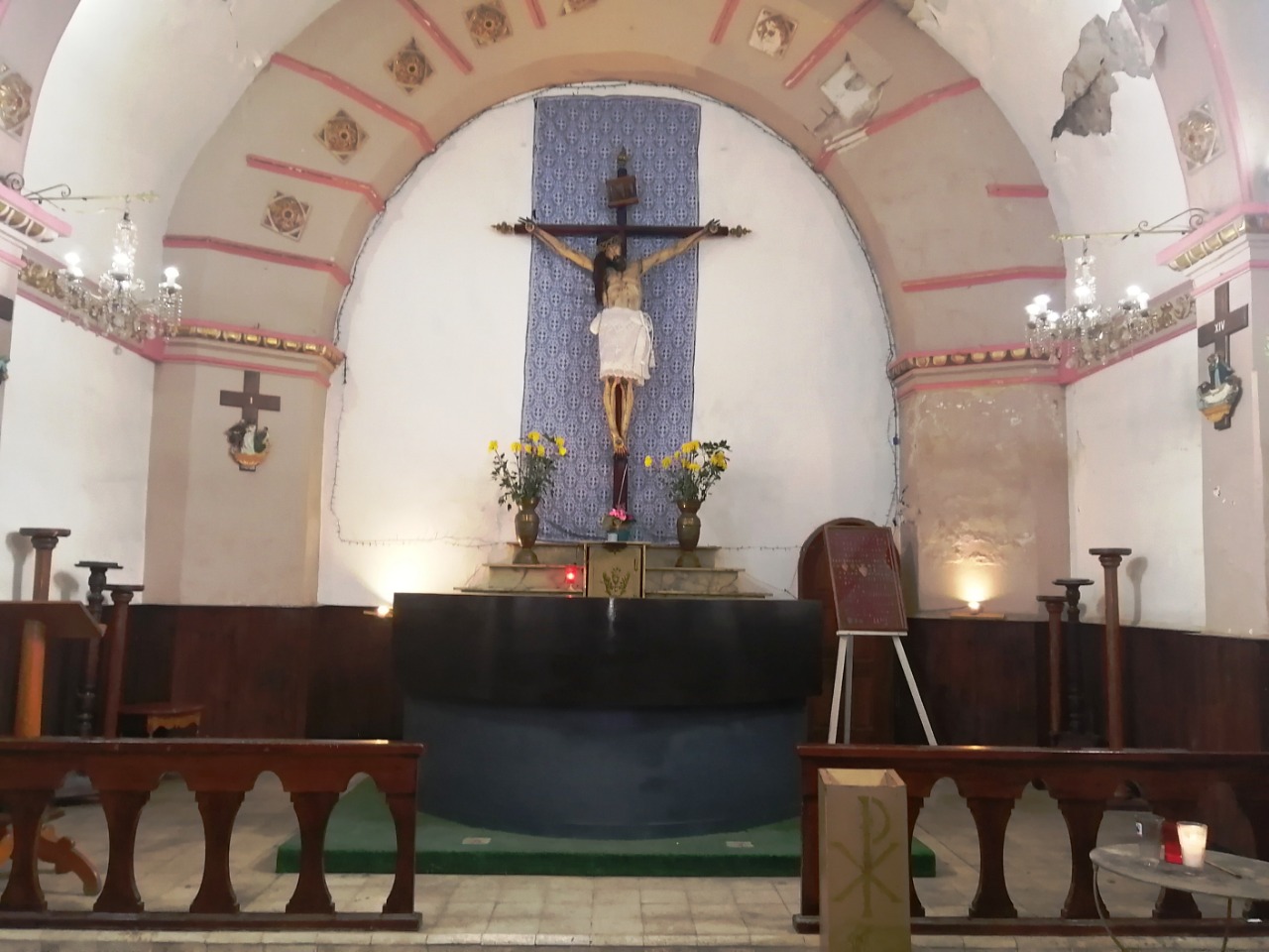 Ojo de agua, tesoro oculto de Xochimilco