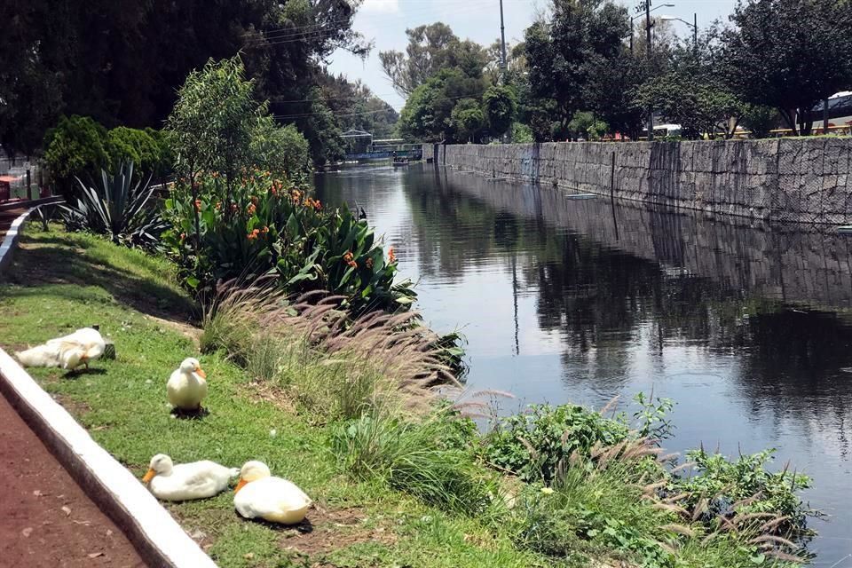 El Parque Canal Nacional es declarado ‘Bosque Urbano’, en la capital