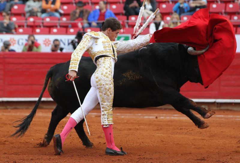 Prohibición de corridas de toros, discusión sin sentido