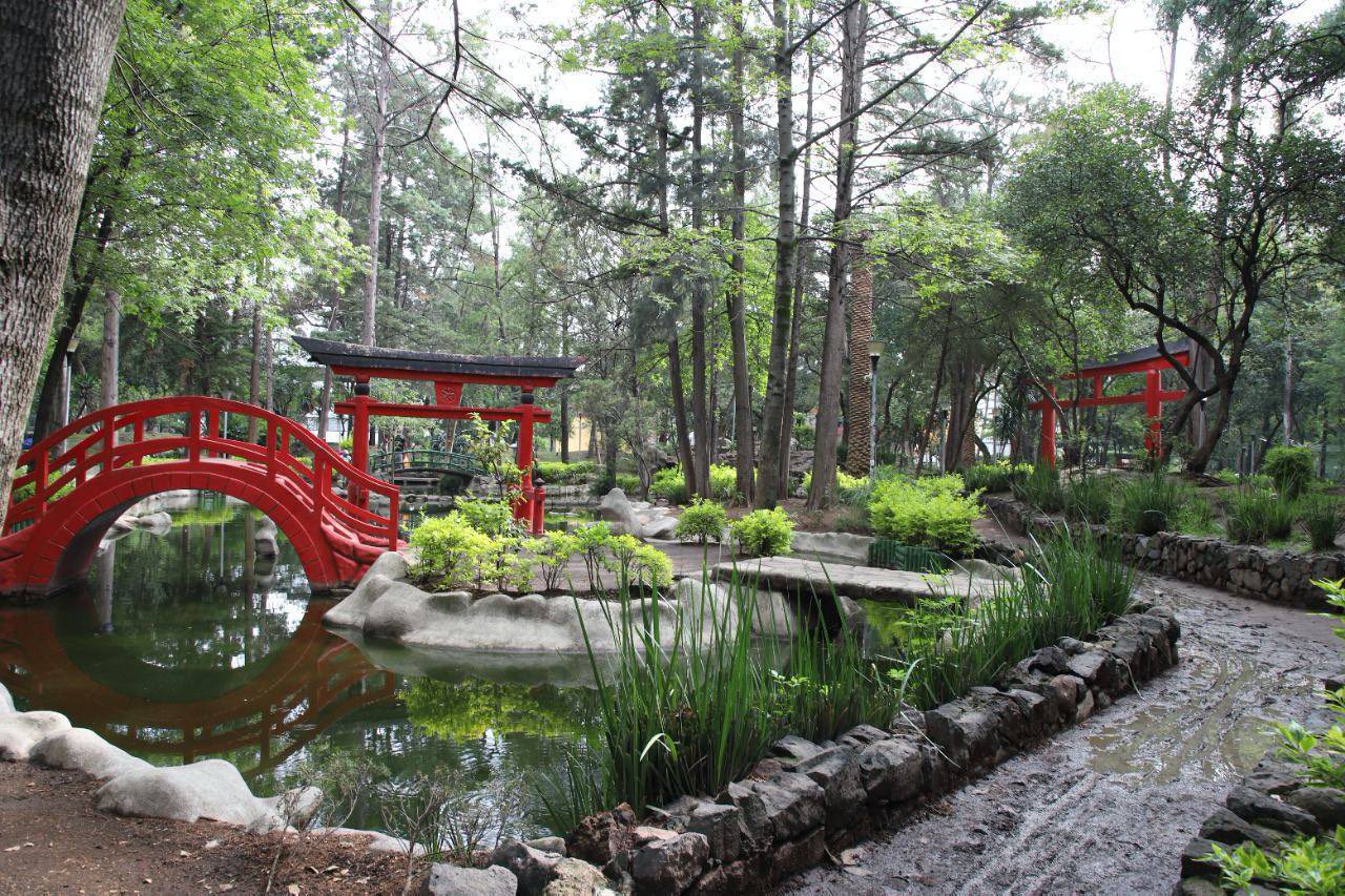 Dan ‘manita de gato’ a parque  Parque Masayoshi Ohira