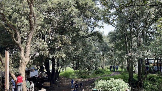 Son recuperados 3 mil metros cuadrados del Área Natural Protegida Parque Ecológico de la Ciudad de México