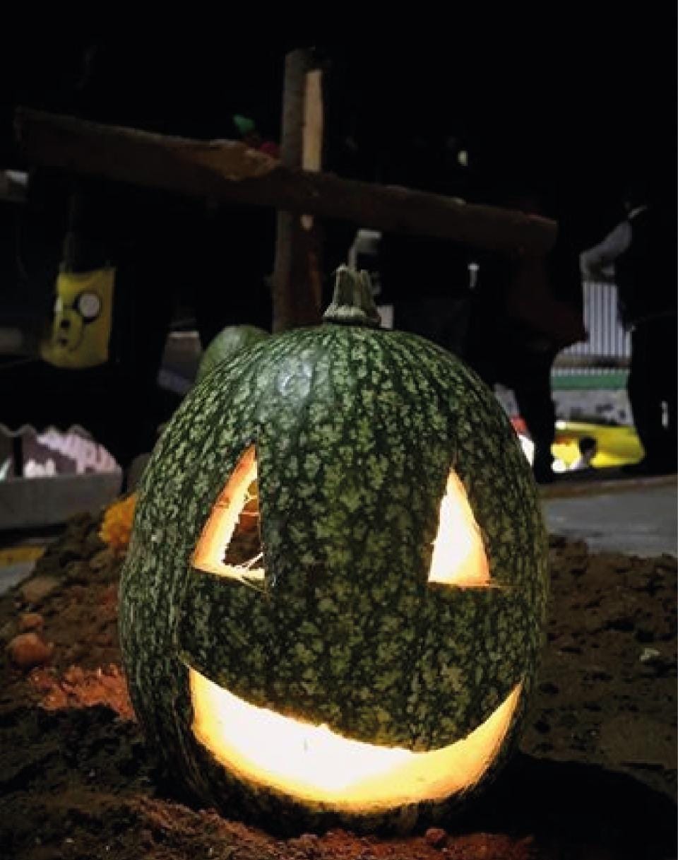 Busca rescatar Xochimilco calaveras de chilacayote