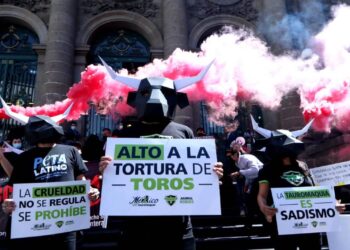 Prohibición de corridas de toros vuelve a estar en la discusión