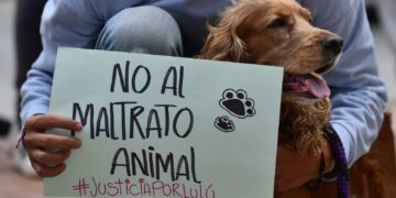 Maltratadores de animales serán exhibidos en un registro