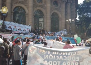 Nueva Ley de Bienestar Animal, a la congeladora