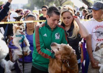 Participan cientos en ‘Maratón Canino’ en Coyoacán
