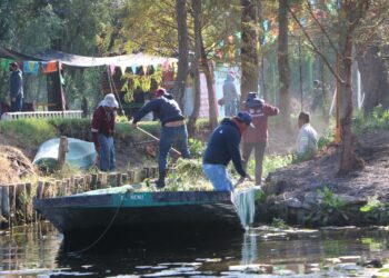 José Carlos Acosta garantiza afluencia de turistas y productores en canales de Xochimilco