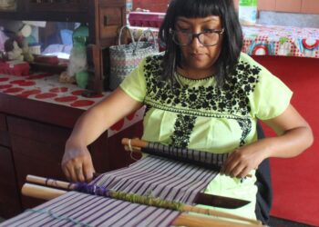 Artesanos y productores, prioridad en el desarrollo económico de Xochimilco  