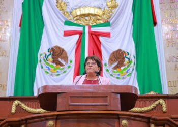 Actividad legislativa, fundamental para el estado democrático: Martha Ávila