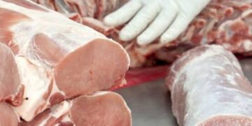 Porcícolas van por la meta en producción sustentable de calidad de carne en 2023