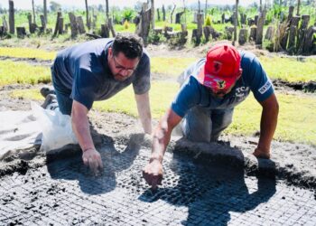 Inician temporada de siembra de amaranto en la zona Patrimonio de CDMX