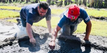 Inician temporada de siembra de amaranto en la zona Patrimonio de CDMX