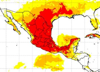 Calor puede provocar enfermedades, advierte  UNAM