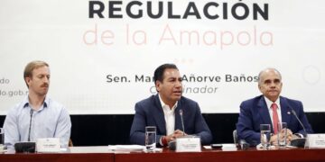 Regular amapola bajaría índices de inseguridad: Senado
