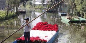 Impulsan rescate de chinamperos y limpieza de canales en Xochimilco