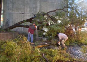 Entra en acción ‘Operativo de lluvias 2023’