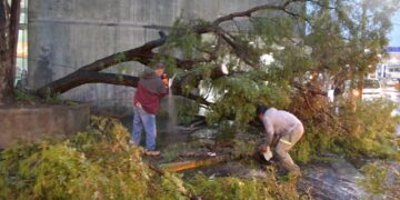 Entra en acción ‘Operativo de lluvias 2023’