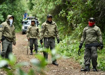 Continuará batalla contra talamontes en CDMX: Martí Batres