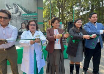 "Los jóvenes son el presente, son nuestro motor"