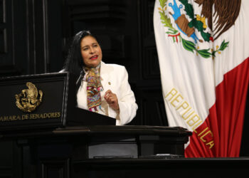 Senadora Ana Lilia Rivera convoca a donar cinco días de sueldo a legisladores