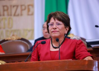Defiende la Diputada Martha Avila el derecho de asociación política y pluralidad parlamentaria