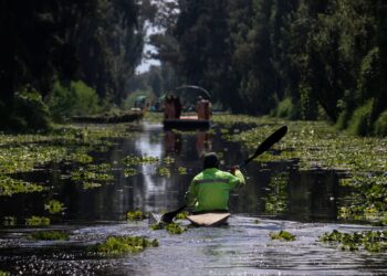 Xochimilco, potencia turística de la capital se estrena como ‘Barrio Mágico’