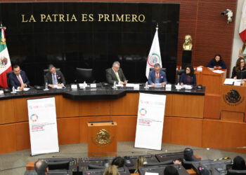 No habrá espacio para impugnar designación de nueva ministra, advierte Ana Lilia Rivera