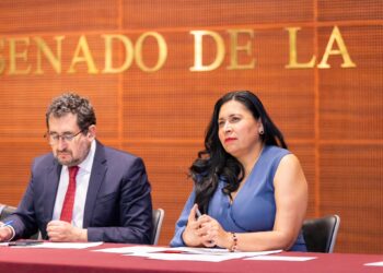 Ana Lilia Rivera expresa su beneplácito por suspensión de la "Ley SB4" en Texas