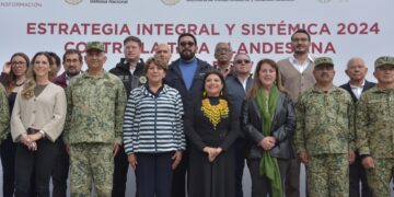 Toda la fuerza del Estado contra la tala clandestina: Clara Brugada