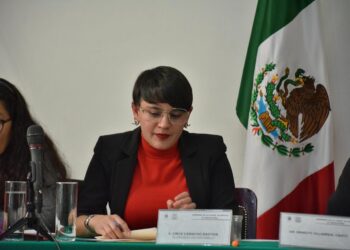 Circe Camacho solicita 19% de aumento para Xochimilco