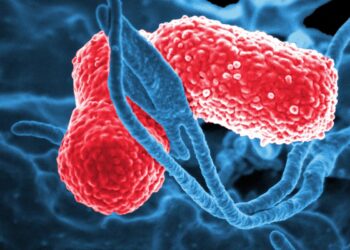 Emite Secretaría de Salud alerta epidemiológica por ‘Klebsiella oxytoca’