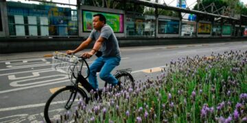 Ciclistas en peligro en la CDMX, alerta diputado