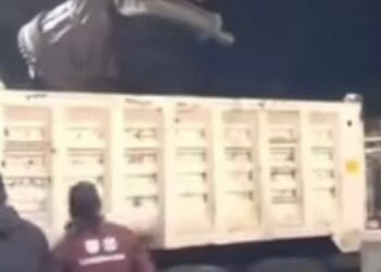 Circe Camacho, monumento a la incompetencia