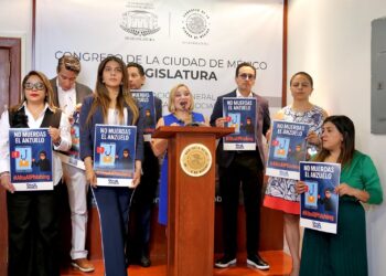 Van contra el delito cibernético