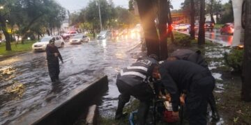 Lluvias dejan 15 árboles caídos e inundaciones
