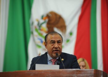 Alcaldías y autoridades fallan en registro de paseadores de perros