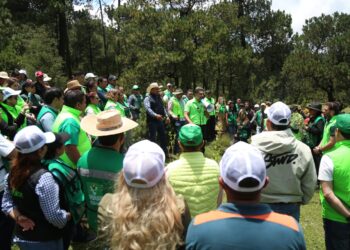 Reforestar con votos: PVEM cumple su «promesa»
