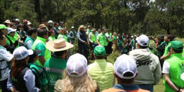Reforestar con votos: PVEM cumple su «promesa»