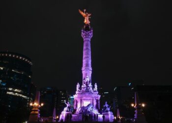 Contaminación lumínica, una amenaza silenciosa para la vida nocturna en CDMX