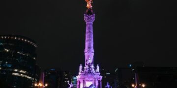 Contaminación lumínica, una amenaza silenciosa para la vida nocturna en CDMX