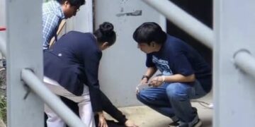 ¡Los Ojos de la Capital!