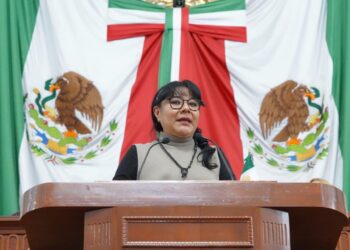 Cuidar es un derecho no un privilegio advierte el Partido Verde