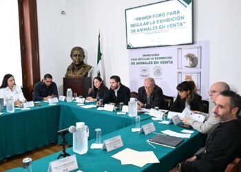 Legislador propone venta de animales solo en línea