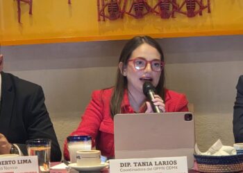 Tania Larios alerta sobre el golpeteo político en las consultas públicas