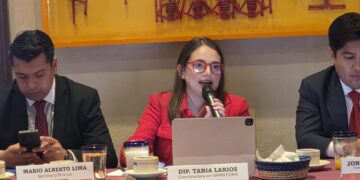 Tania Larios alerta sobre el golpeteo político en las consultas públicas